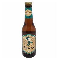 imagem Cerveja Witbier Praya 355ml